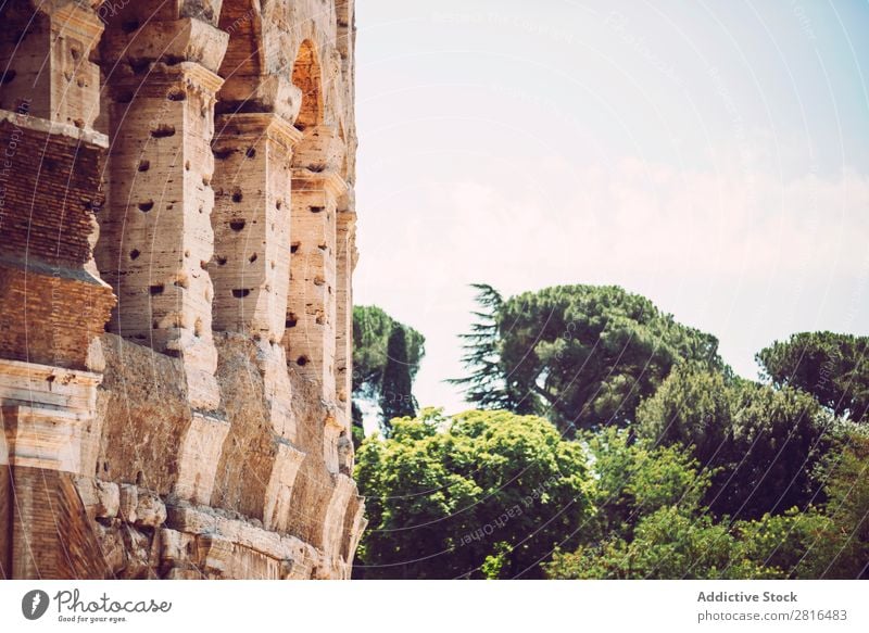 Kolosseum Nahaufnahme, Rom, Italien Kaiserreich Italienisch historisch Stein weiß reisen Sonnenaufgang Archäologie Europäer Wahrzeichen Kultur Gladiator
