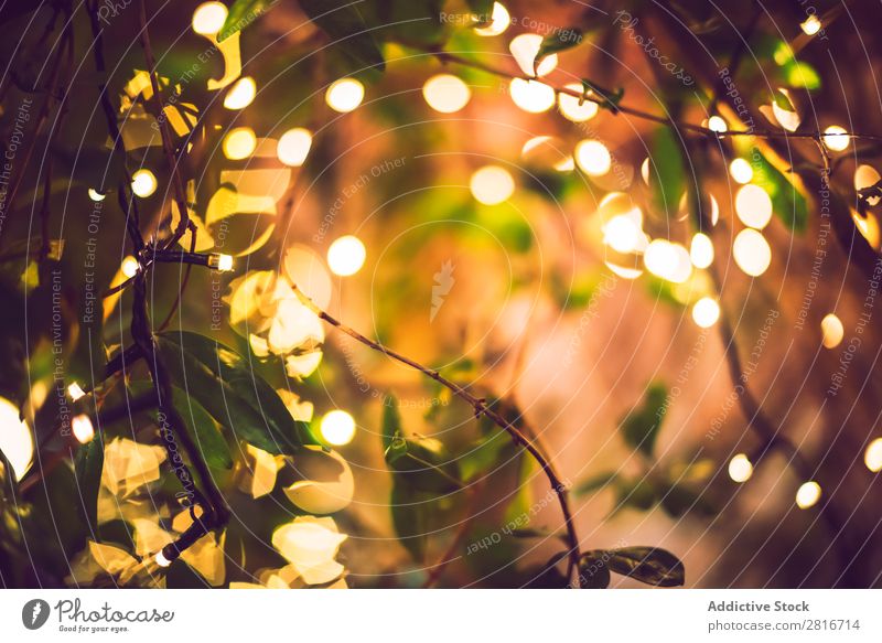 Dekoration Licht Weihnachtsfeier am Baum hängend, abstraktes Bild verschwommener unscharfer Hintergrund Garten Nacht Terrasse Außenaufnahme