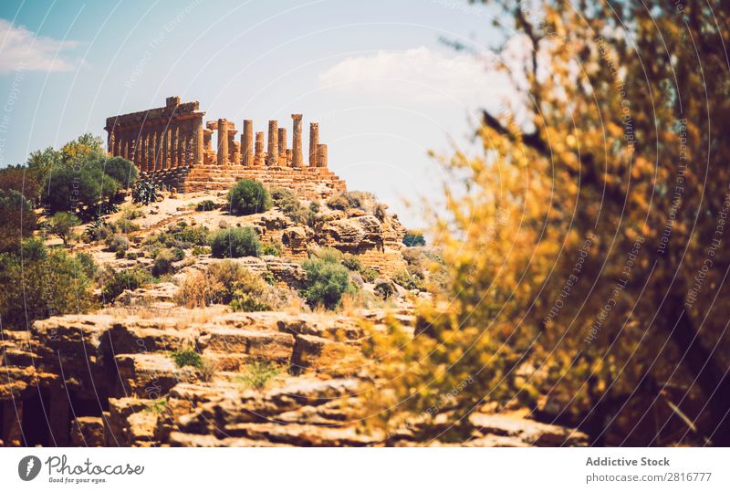 Blick auf das Tal der Tempel in Agrigento, Sizilien, Italien Griechen hellenistisch Stein Ferien & Urlaub & Reisen Sizilianer Wahrzeichen Säule dorisch