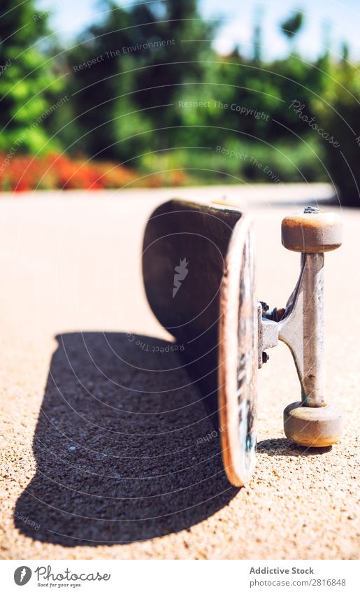 Altes gebrauchtes Skateboard über dem Boden Skateboarding Wagenräder alt retro vereinzelt dreckig Freizeit & Hobby Freude Aktion Park Aussicht horizontal Schuss