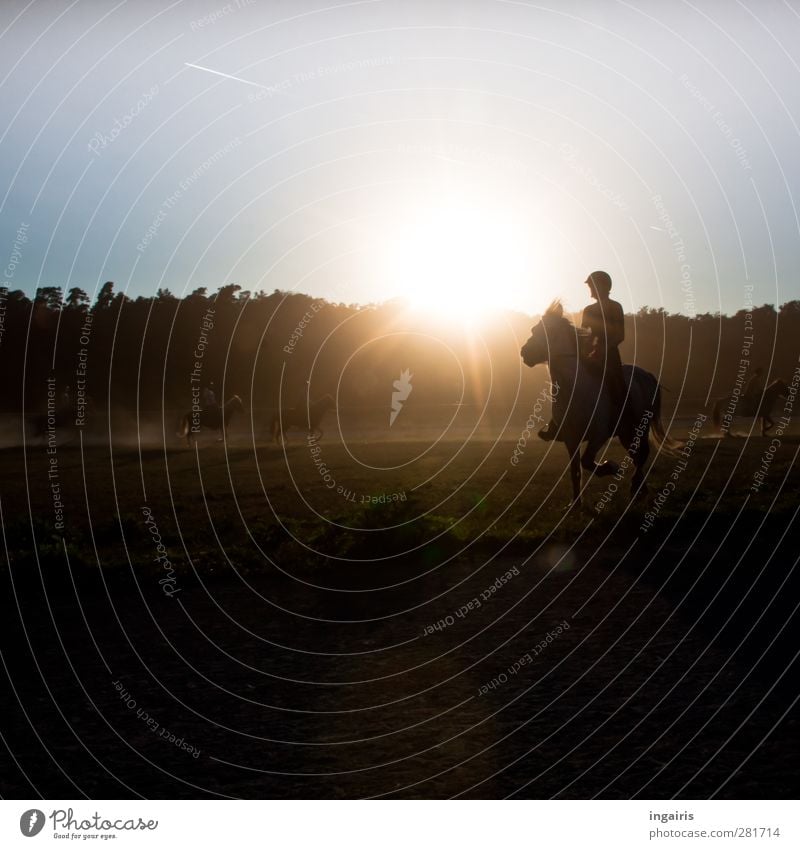 Der vierte Gang! Reiten Mensch 1 Menschengruppe Natur Landschaft Horizont Sonnenaufgang Sonnenuntergang Tier Nutztier Pferd laufen leuchten natürlich blau braun