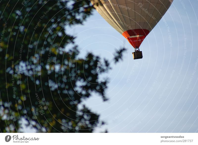Ballonfahrt ab 159,- EUR Ausflug Ballone Sport Feierabend Pflanze Himmel Wolkenloser Himmel Schönes Wetter Baum Luftverkehr Fluggerät entdecken Erholung fliegen