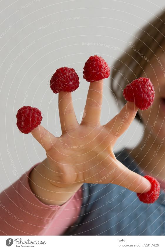 Himbeeren Lebensmittel Frucht Süßwaren Essen Fingerfood Gesundheit Gesunde Ernährung Zufriedenheit Sommer Kind Kindheit Hand 3-8 Jahre frech frisch lecker