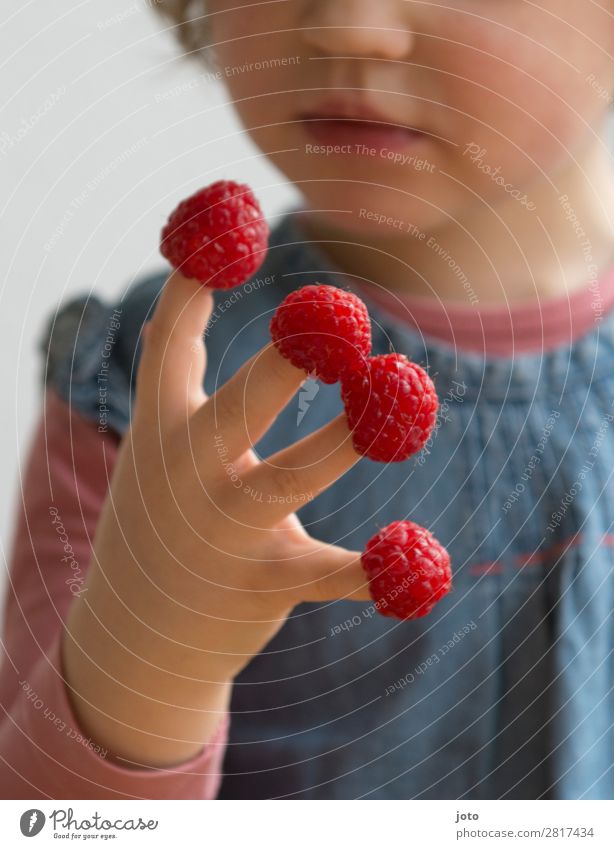 1,2,3,4 Lebensmittel Frucht Süßwaren Essen Bioprodukte Fingerfood Gesunde Ernährung Zufriedenheit Sommer Kind Mädchen Kindheit Hand 3-8 Jahre genießen frech