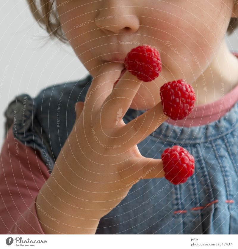 Kind nascht Himbeeren von den eignen Fingern Lebensmittel Frucht Ernährung Essen Fingerfood Gesundheit Ferien & Urlaub & Reisen 3-8 Jahre Kindheit Sommer