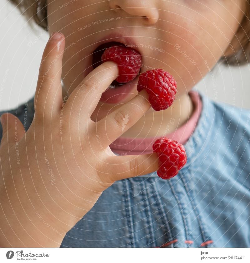 Kind nascht Himbeeren von den eigenen Fingern Lebensmittel Frucht Süßwaren Essen Fingerfood Gesundheit Gesunde Ernährung Zufriedenheit Ferien & Urlaub & Reisen