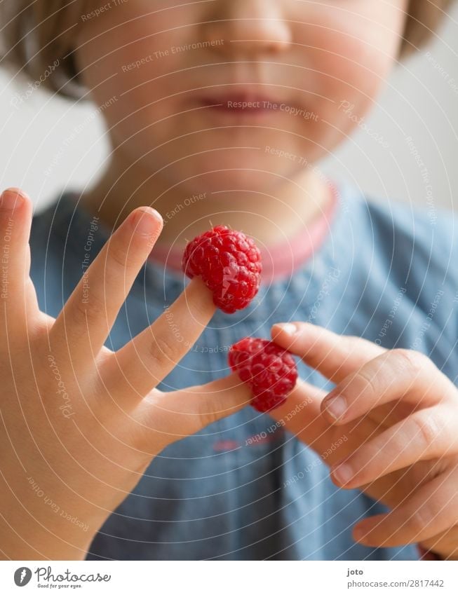 Rechnen leicht gemacht Lebensmittel Frucht Süßwaren Essen Fingerfood Gesunde Ernährung Zufriedenheit Ferien & Urlaub & Reisen Sommer Kind Kindheit Hand Natur