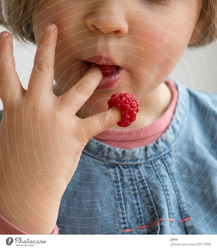 Kind nascht Himbeeren von den eigenen Fingern Lebensmittel Frucht Süßwaren Essen Fingerfood Gesunde Ernährung Zufriedenheit Sommer Mädchen Kindheit Hand 1