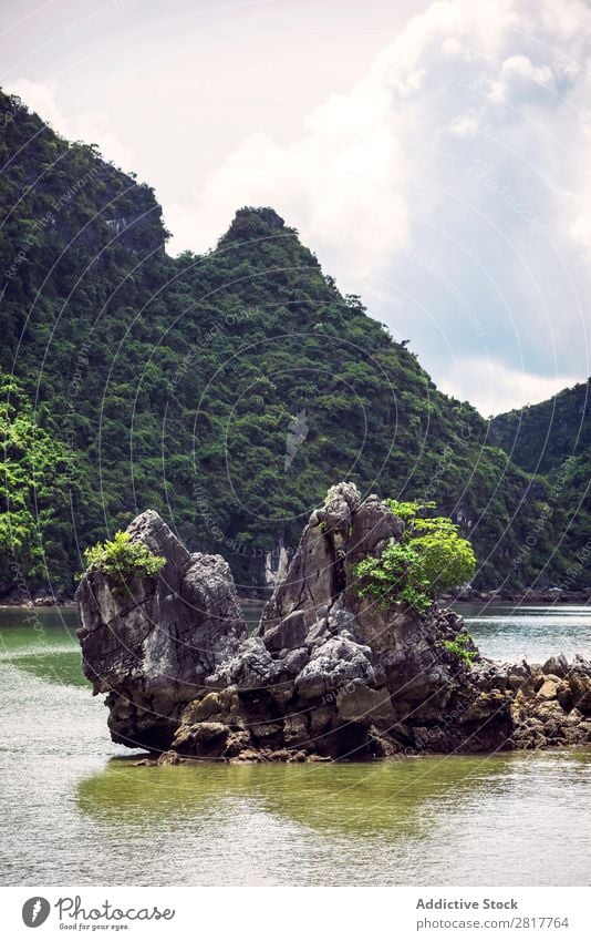 Malerische Meereslandschaft. Ha Long Bay, Vietnam Halong Bay Bucht Asien Insel Wahrzeichen blau asiatisch Kreuzfahrt grün Baum Süden Vietnamesen Wasserfahrzeug