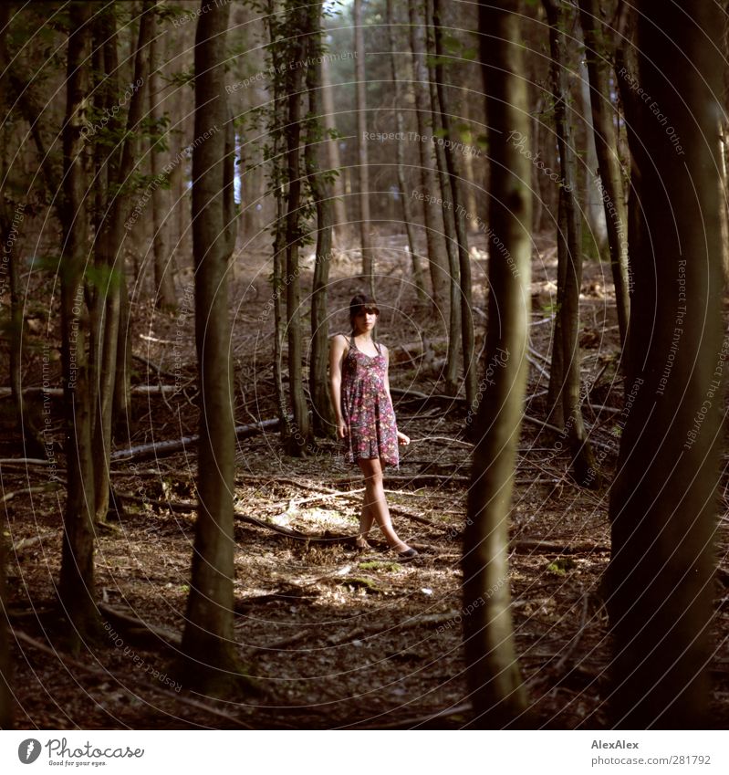 Liliy's Lichtung elegant Jagd Junge Frau Jugendliche Körper Beine 1 Mensch 18-30 Jahre Erwachsene Sommer Baum Blatt Ast Wald Waldlichtung Kleid Holz entdecken