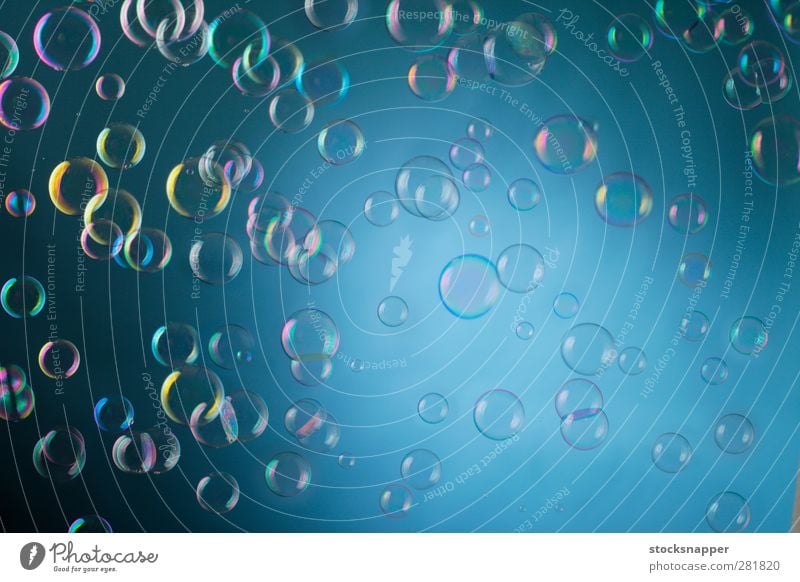Blasen Seife Schaumblase Luftblase Seifenblase in der Luft fliegen durchsichtig durchscheinend Menschenleer mehrere viele Objektfotografie glänzend Ball leicht