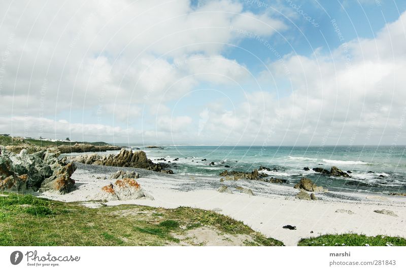 und vor uns - nur Ozean Natur Landschaft Pflanze Sand Wasser Himmel Wolken Frühling Sommer Meer Gefühle Stimmung Küste hermanus Südafrika Reisefotografie