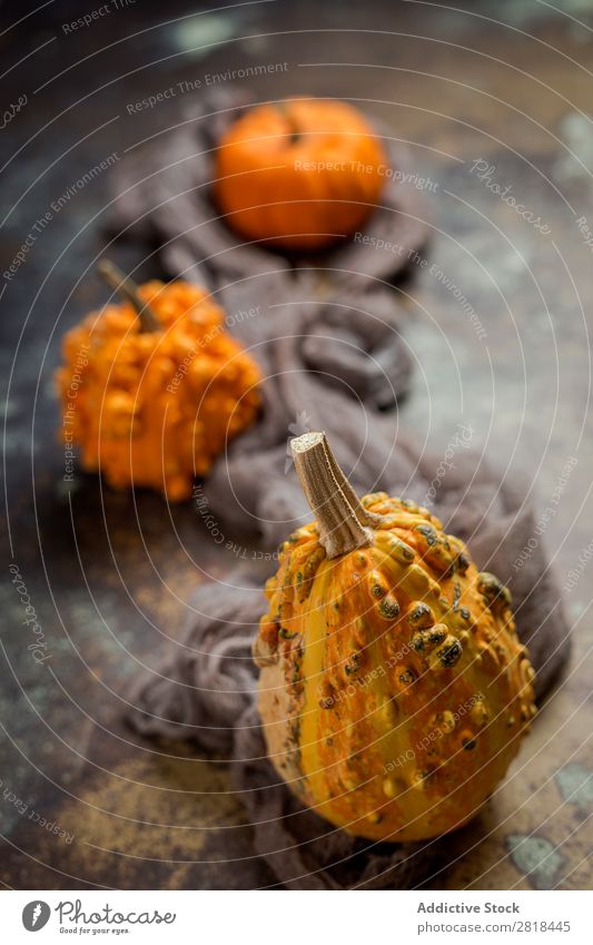 Halloween Dekoration Hintergrund Hintergrundbild Herbst Kürbis Spinne Dekoration & Verzierung Angst Holz dunkel Objektfotografie Nacht Kalbfleisch Orange Kostüm
