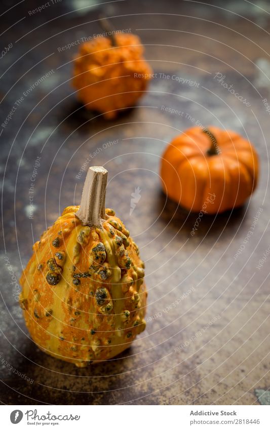 Halloween Dekoration Hintergrund Hintergrundbild Herbst Kürbis Spinne Dekoration & Verzierung Angst Holz dunkel Objektfotografie Nacht Kalbfleisch Orange Kostüm