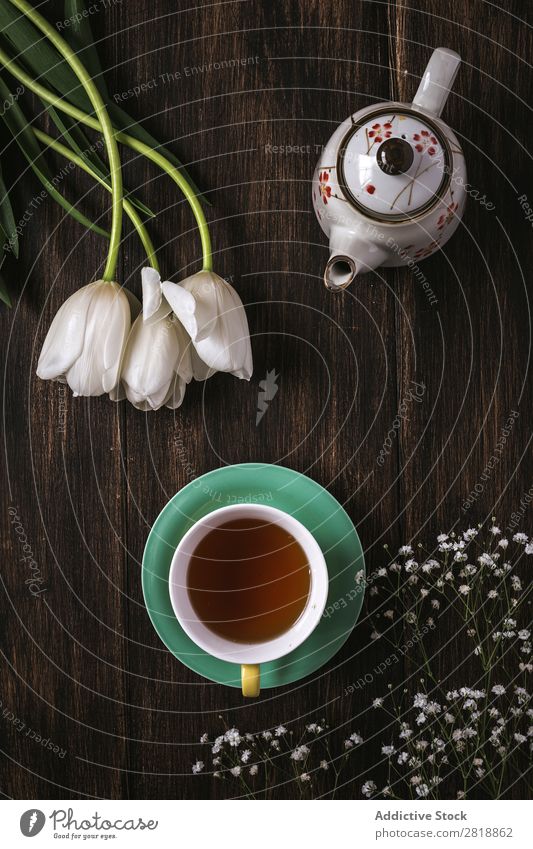 Tasse Tee mit floralem Hintergrund mit roten und weißen Tulpen und Margeriten. Blume Hintergrundbild Blatt Dekor natürlich Natur hübsch Postkarte Zarge Farbe