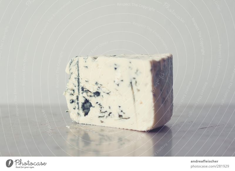 schimmelkäsel. ekel. Lebensmittel Käse Ernährung Milch ästhetisch Metallwaren Ekel grau grün blauschimmel Milcherzeugnisse laktose Protein weiß