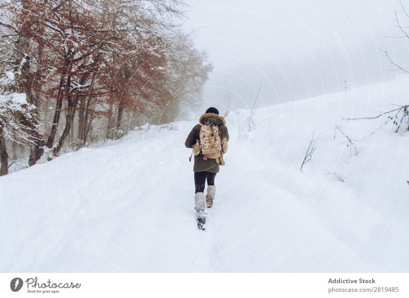 Tourist mit Rucksack im verschneiten Wald Natur Winter Schnee Reisender laufen Straße kalt Landschaft weiß Frost Baum Jahreszeiten Szene schön Wetter Tag Eis