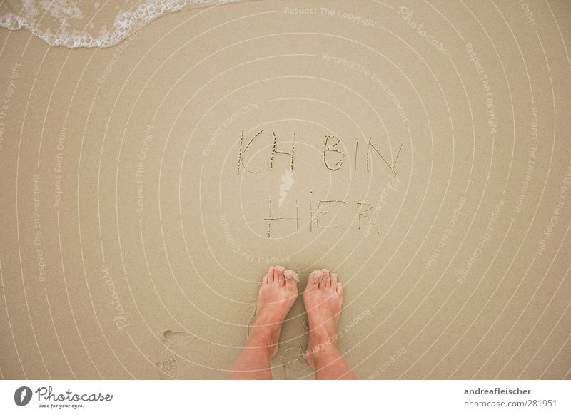ich bin hier. Ferien & Urlaub & Reisen Sommer Meer Fuß genießen Gefühle Blick schreiben Spuren Sand Strand Wasser Wellen Schaumblase braun scheckig Abdruck