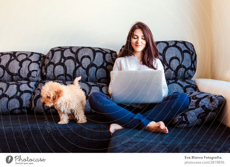 junge Frau mit ihrem Zwergpudelhund zu Hause Lifestyle Freude Glück schön Sofa Handy PDA Computer Notebook Bildschirm Technik & Technologie Mensch feminin