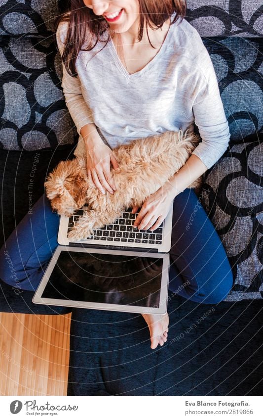 junge Frau mit ihrem Zwergpudelhund zu Hause Lifestyle Freude Glück schön Sofa Handy PDA Computer Notebook Tastatur Bildschirm Technik & Technologie Mensch