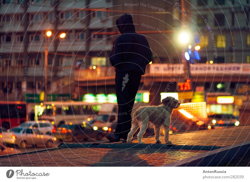 Hund Mensch maskulin Mann Erwachsene 1 13-18 Jahre Kind Jugendliche 18-30 Jahre Stadt Tier Blick stehen Abend Farbfoto Außenaufnahme Kunstlicht Licht Silhouette