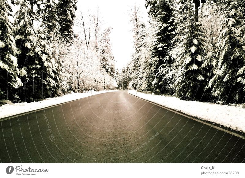 die Spur eines Winters kalt Wald Schnee Monochrom Straße Schwarzweißfoto