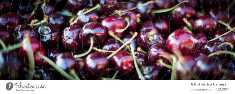 Cherries Lebensmittel Frucht Kirsche Ernährung Bioprodukte Vegetarische Ernährung Diät frisch Gesundheit rund klein saftig Markt Angebot schön Farbfoto