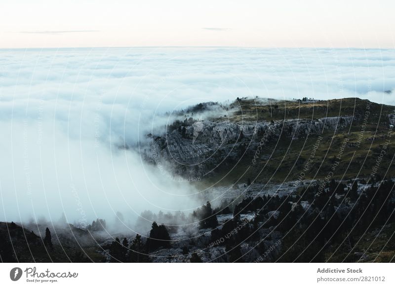 Nebel kommt über Felsen Landschaft Wolken Natur Mittelgebirge Wald Beautyfotografie Reichweite Berge u. Gebirge Abenteuer Aussicht Ferien & Urlaub & Reisen