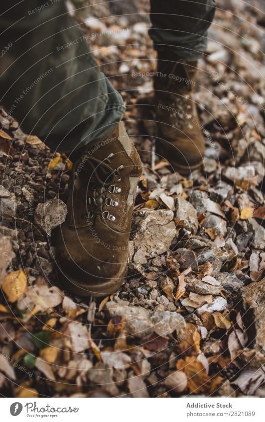Beine des Wanderers im Wald Blatt Kieselsteine Schuhe Mensch wandern Natur Herbst Aussicht Ferien & Urlaub & Reisen Abenteuer laufen Umwelt Lifestyle Wildnis