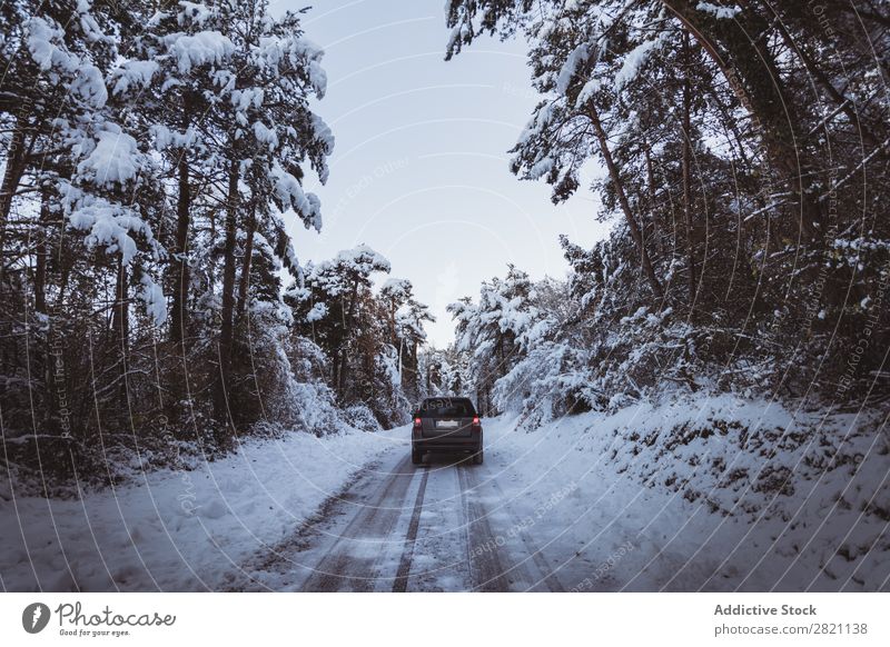 Offroader im Wald PKW Straße Winter Geländewagen Schnee kalt Landschaft weiß Natur Jahreszeiten Eis Frost Laufwerk Ferien & Urlaub & Reisen gefroren Wetter