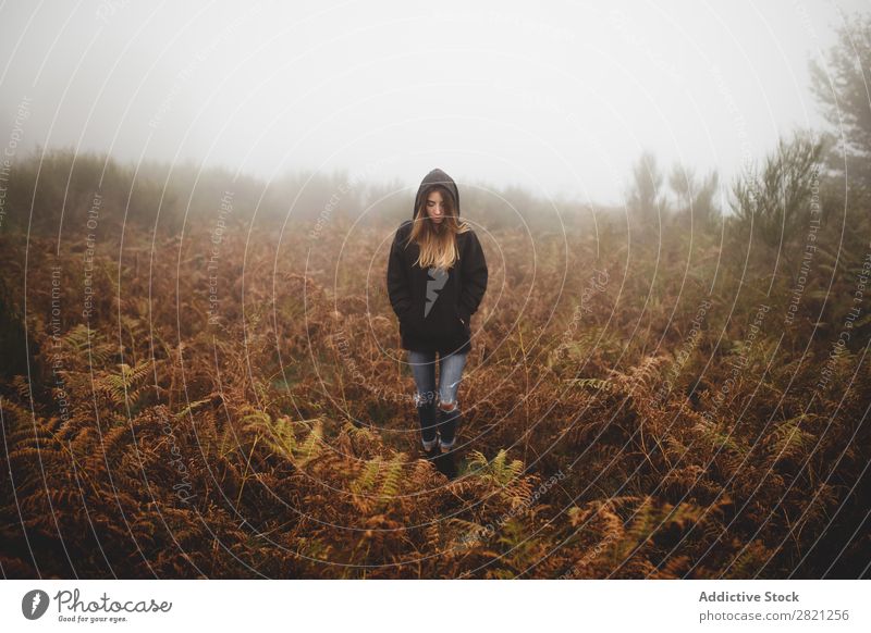 Frau inmitten von Farnen Nebel Wald Natur Tag Mensch Porträt Holz Herbst laufen wild Pflanze regenarm spukhaft Angst Landschaft Jahreszeiten ruhig Gelassenheit