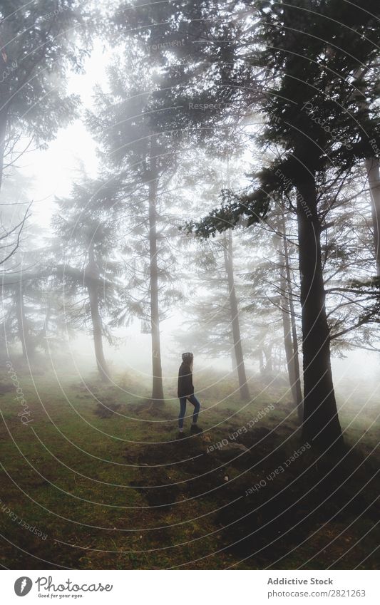 Frau beim Spaziergang im Wald Farn Nebel Natur Tag Mensch Porträt Holz Herbst laufen wild Pflanze regenarm spukhaft Angst Landschaft Jahreszeiten ruhig