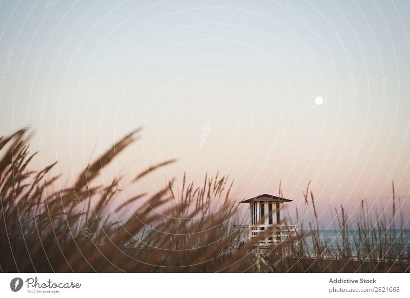Idyllische Ansicht des Rettungsschwimmers gegen den Himmel mit Vollmond Turm Gras Fokus Vordergrund Idylle windstill Mond Horizont Wasser Strand Konstruktion