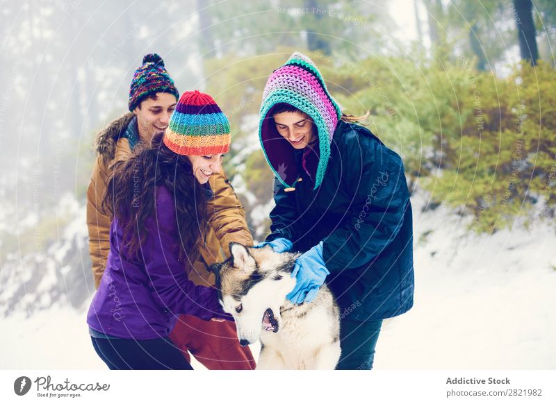 Menschen, die einen Hund im Schnee streicheln. Frau Kraulen Husky Wald füttern Freundschaft Entertainment Park Besitzer Begleiter Tier Freizeit & Hobby heiter