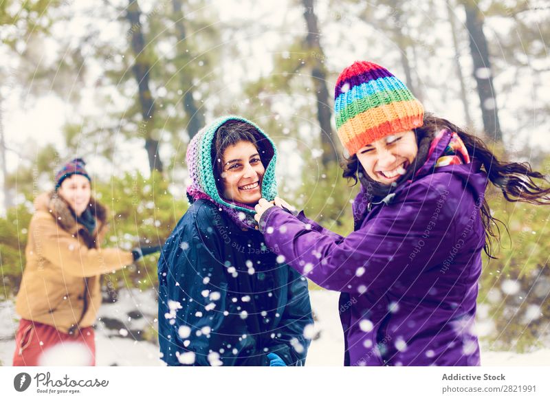 Freunde beim Schneeballspielen im Wald Mensch Freundschaft Schneebälle Spielen Werfen Spaß haben Entertainment Freizeit & Hobby Aktion Bewegung Winter Natur