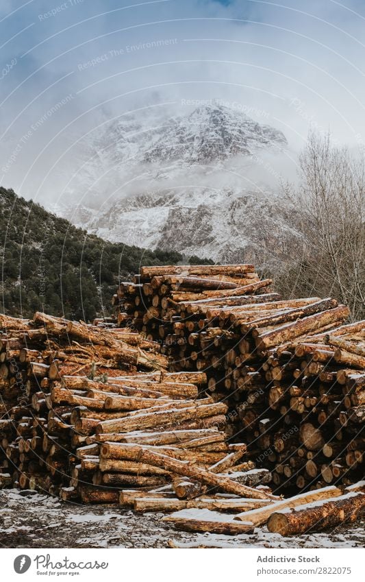 Hölzer gestapelt und vorbereitet Rüssel Holz Brennstoff Stapel Baum Totholz Nutzholz Brennholz geschnitten Natur natürlich Anhäufung Material rau Wald Industrie