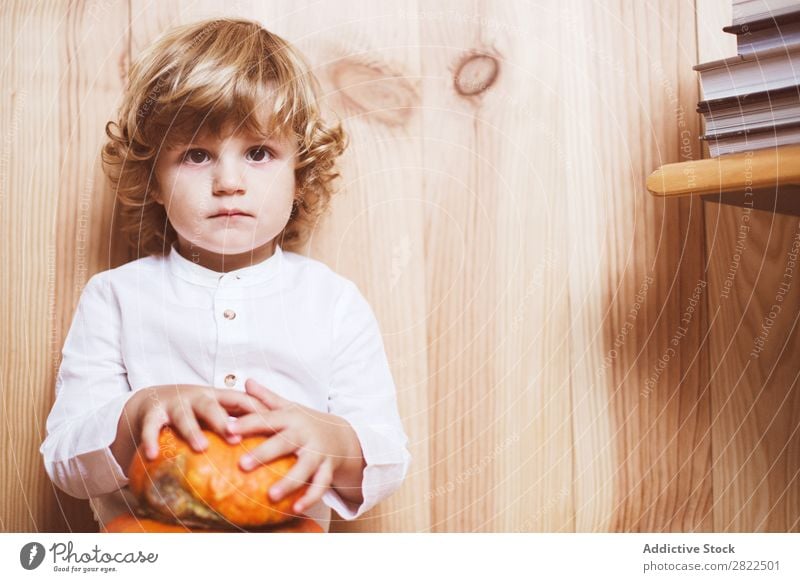 Bezauberndes Kind, das mit Kürbis posiert. Körperhaltung Ferien & Urlaub & Reisen Halloween Herbst Menschliches Gesicht Kindheit Zauberei u. Magie Phantasie