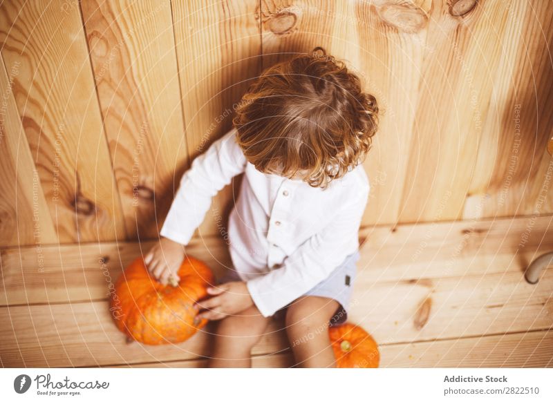 Charmantes Kind, das mit Kürbissen posiert. Verstand Phantasie Körperhaltung Fürsorge Ferien & Urlaub & Reisen Halloween Herbst Menschliches Gesicht Kindheit