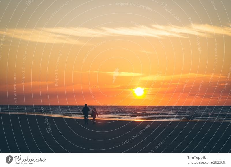 Langeoog Love Sonne Sonnenaufgang Sonnenuntergang schön Liebespaar Romantik Strand Strandspaziergang Sonnenlicht Ostfriesische Inseln Horizont Himmel Paar