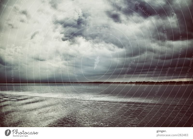 Hiddensee | Wir kamen, zu scheuchen die Wolken! Frühling schlechtes Wetter Wind Ostsee dunkel kalt blau-grau Wasseroberfläche Meer auf See Grundbesitz
