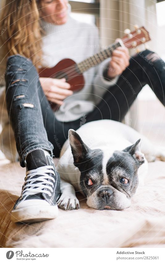 Frau und Hund entspannen zu Hause heimwärts Erholung Lifestyle Ukulele Gitarre Musiker Haustier Freundschaft lügen schön Raum Mensch lässig Erwachsene