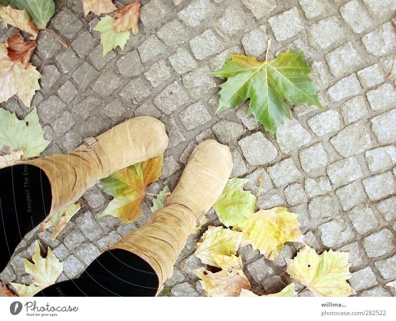 Der Herbst beginnt. Stadtpflaster. Weibliche Beine in weichen Wildlederstiefeln. Stiefel Füße Blatt Ahornblatt stehen Vergänglichkeit Pflastersteine warten