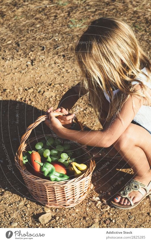Anonymes Kind mit Obstkorb Mädchen Korb Frucht Gemüse Sommer Landwirtschaft Landschaft Natur Ernte Vitamine frisch Lebensmittel organisch Beautyfotografie