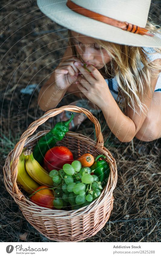 Kind isst Obst aus dem Korb Mädchen Essen Ernte Frucht Garten Gemüse Sommer Stil ländlich Landwirtschaft organisch Landschaft Natur Jahreszeiten Picknick
