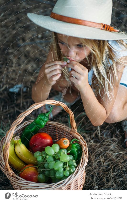 Kind isst Obst aus dem Korb Mädchen Essen Ernte Frucht Garten Gemüse Sommer Stil ländlich Landwirtschaft organisch Landschaft Natur Jahreszeiten Picknick