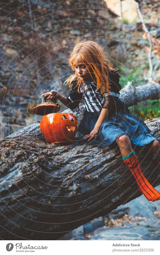 Fröhliches Kind im Kostüm, das auf einem Baum posiert. Mädchen Halloween Körperhaltung Feste & Feiern Tradition Zauberei u. Magie Ausdruck Süßwaren Bekleidung