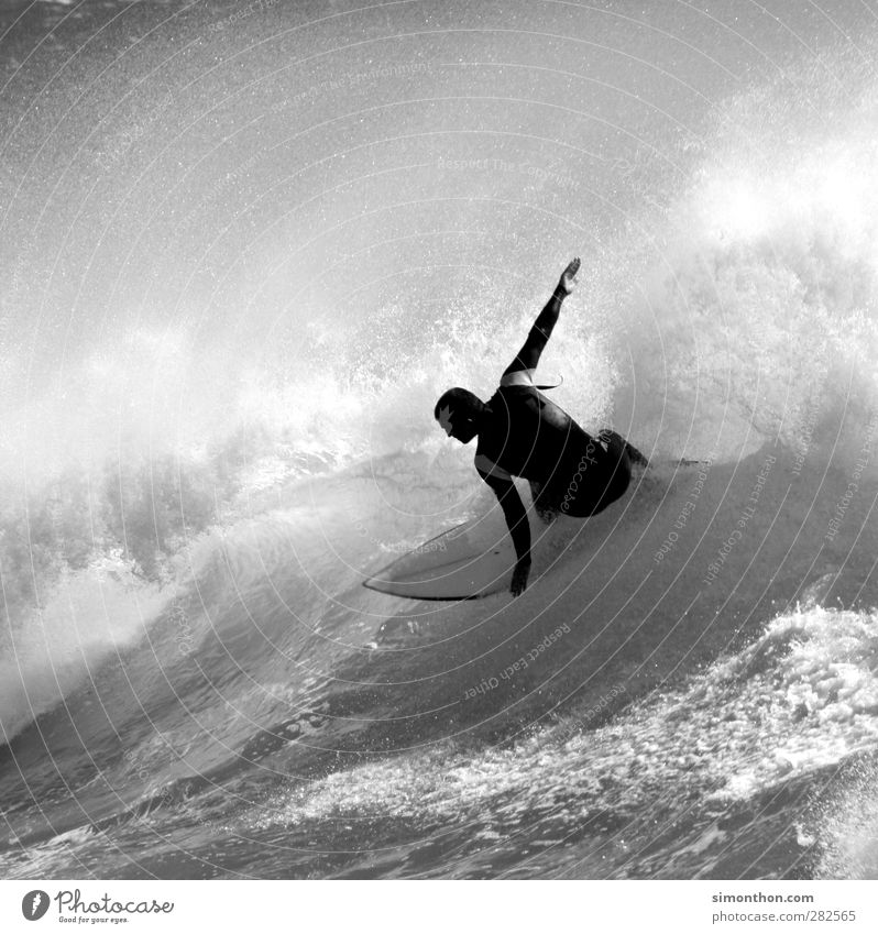 surfer sportlich Fitness Ferien & Urlaub & Reisen Ferne Freiheit Sommer Sonne Meer Wellen Sport Wassersport maskulin 1 Mensch Unendlichkeit Surfen Surfer