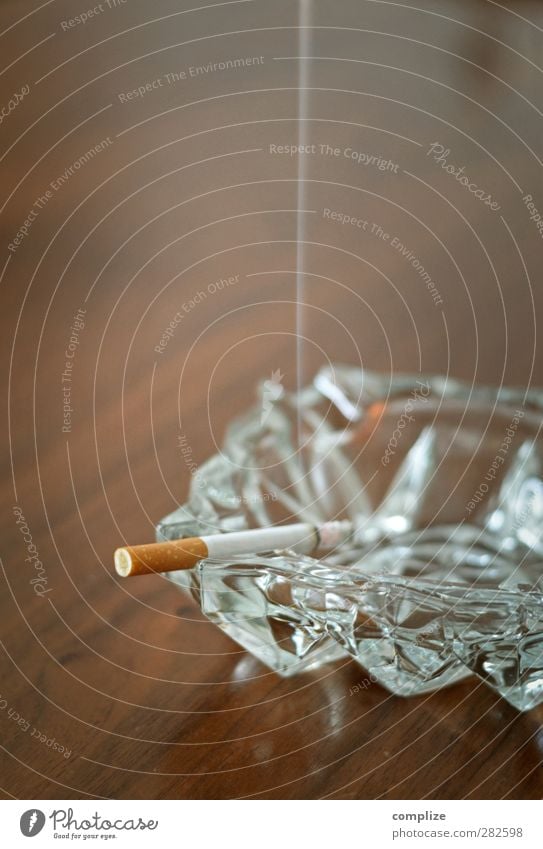 Smoke Rauchen Rauschmittel Gastronomie Hemmungslosigkeit Gesellschaft (Soziologie) Gesundheit Gesundheitswesen Identität schön Zigarette Abhängigkeit
