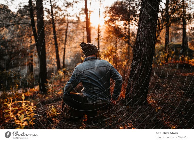 Der Mensch hat eine friedliche Zeit im Wald bei Sonnenuntergang. ruhen sitzen Mann Tourist Blick Baum Porträt Herbst Jugendliche ländlich Natur Erholung stumm