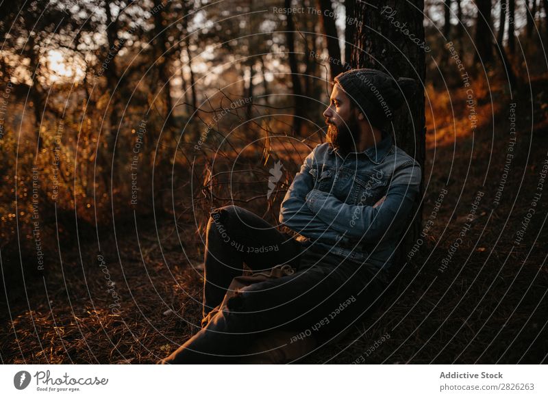 Mann im Wald bewundert Sonnenuntergang Mensch ruhen sitzen Tourist Blick Baum Porträt Herbst Jugendliche ländlich Natur Erholung stumm Ferien & Urlaub & Reisen